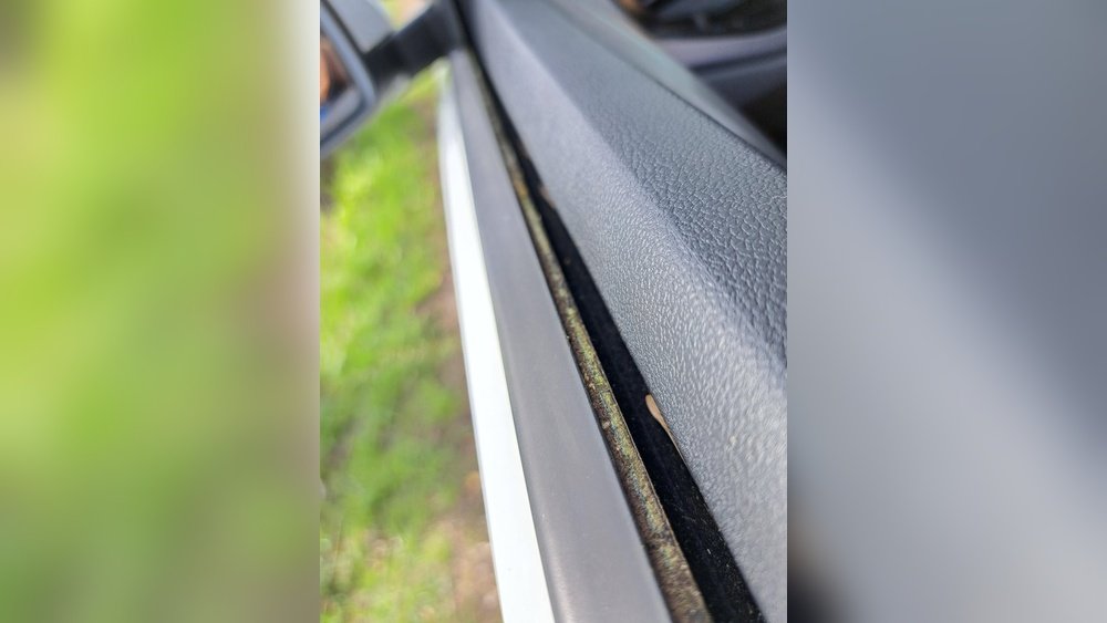 How to Clean Car Window Moss: Easy Steps for a Clear View