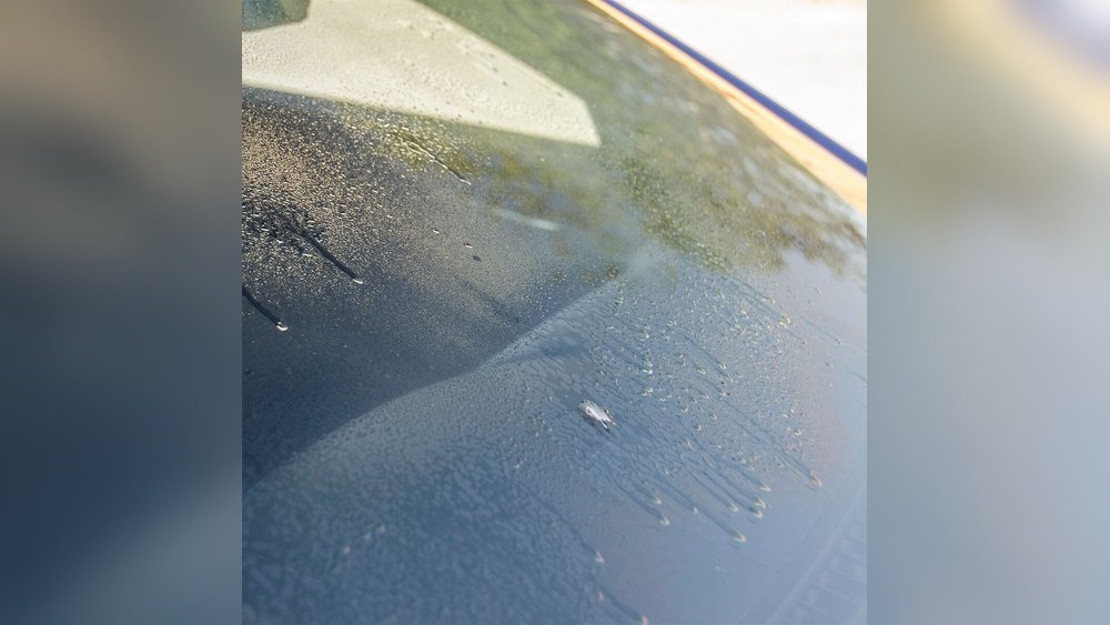How to Clean Greasy Car Windows: Easy Tips for a Crystal Clear View