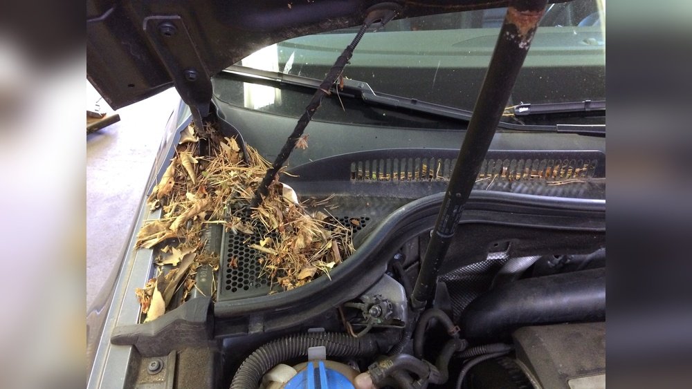 How to Clean Windshield Cowl: Easy Steps for a Spotless Finish